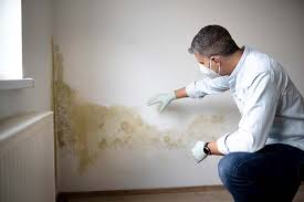 Best Mold Documentation for Insurance Claims  in , ME